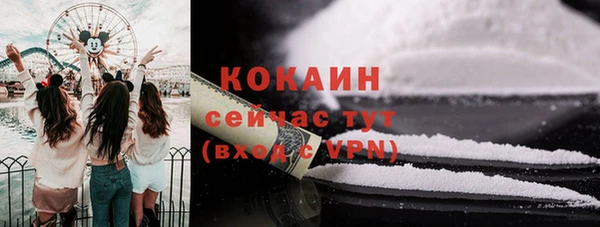первитин Няндома