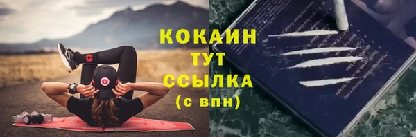 первитин Няндома