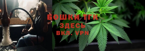 гашик Нягань