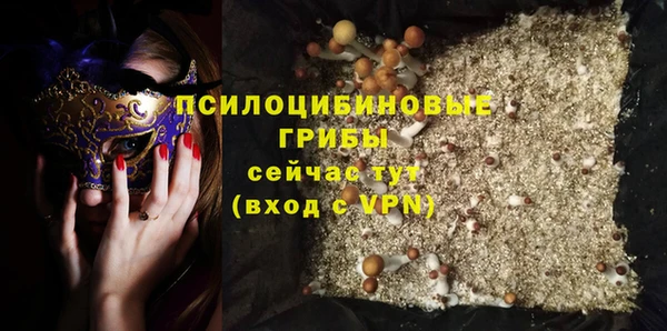 ешки Новодвинск