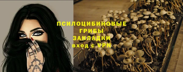 первитин Няндома