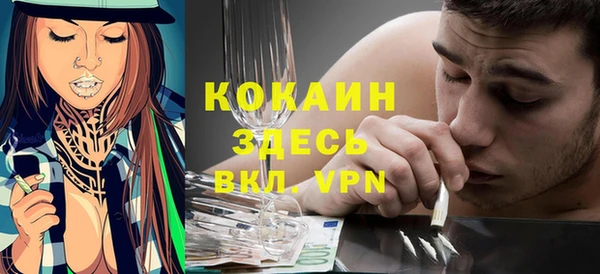 первитин Няндома