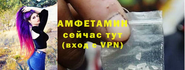 ешки Новодвинск